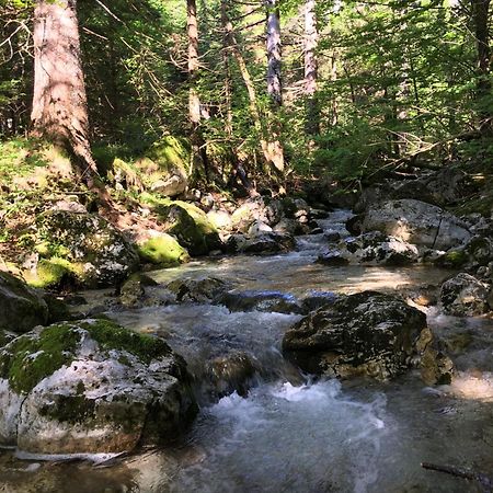 Cozy Private Cabin In The Heart Of Triglav National Park Trenta Bagian luar foto