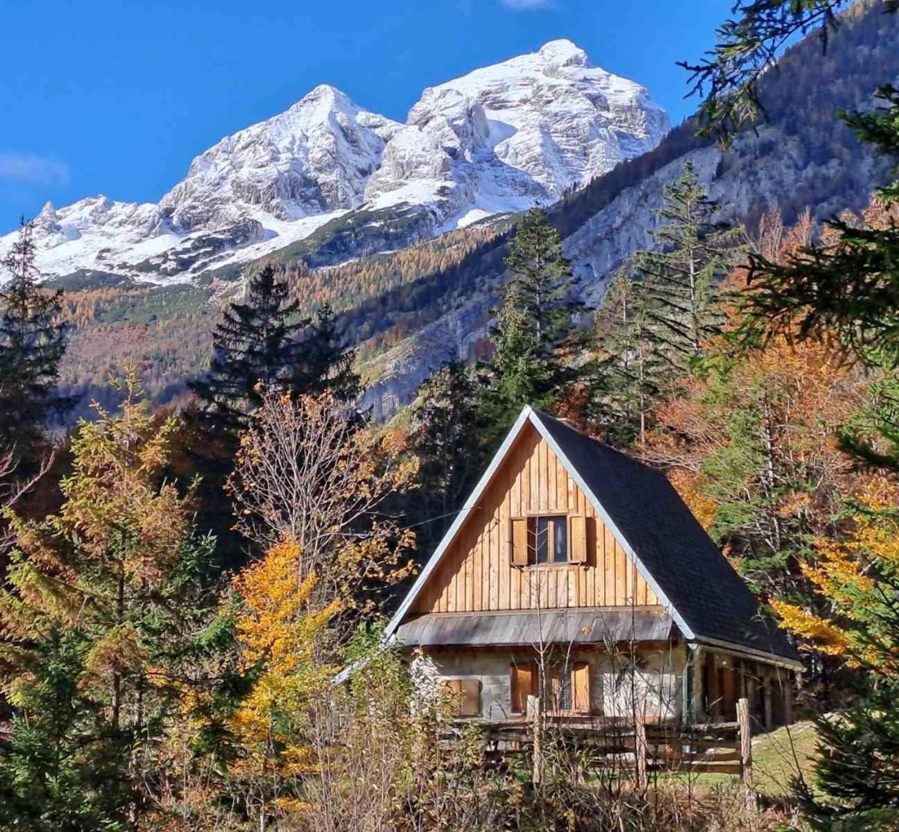 Cozy Private Cabin In The Heart Of Triglav National Park Trenta Bagian luar foto